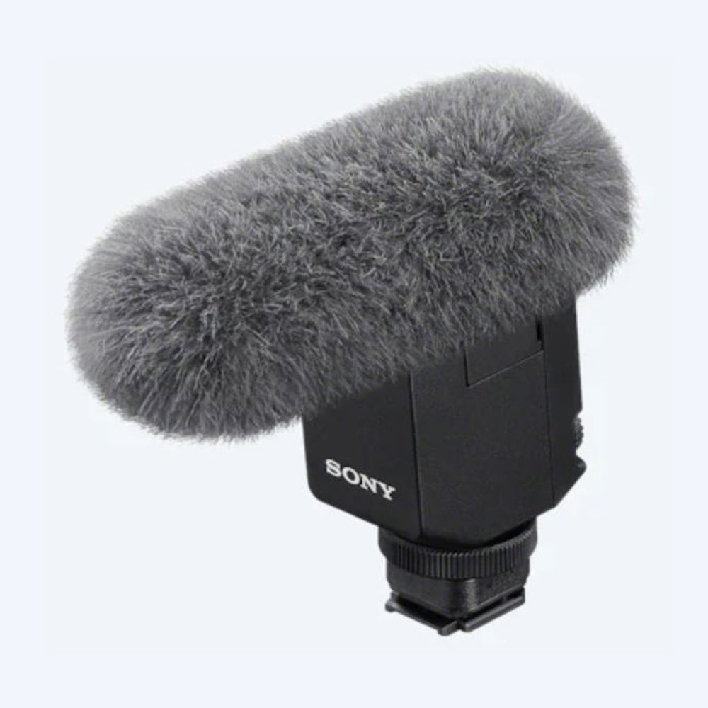 ECM-B10