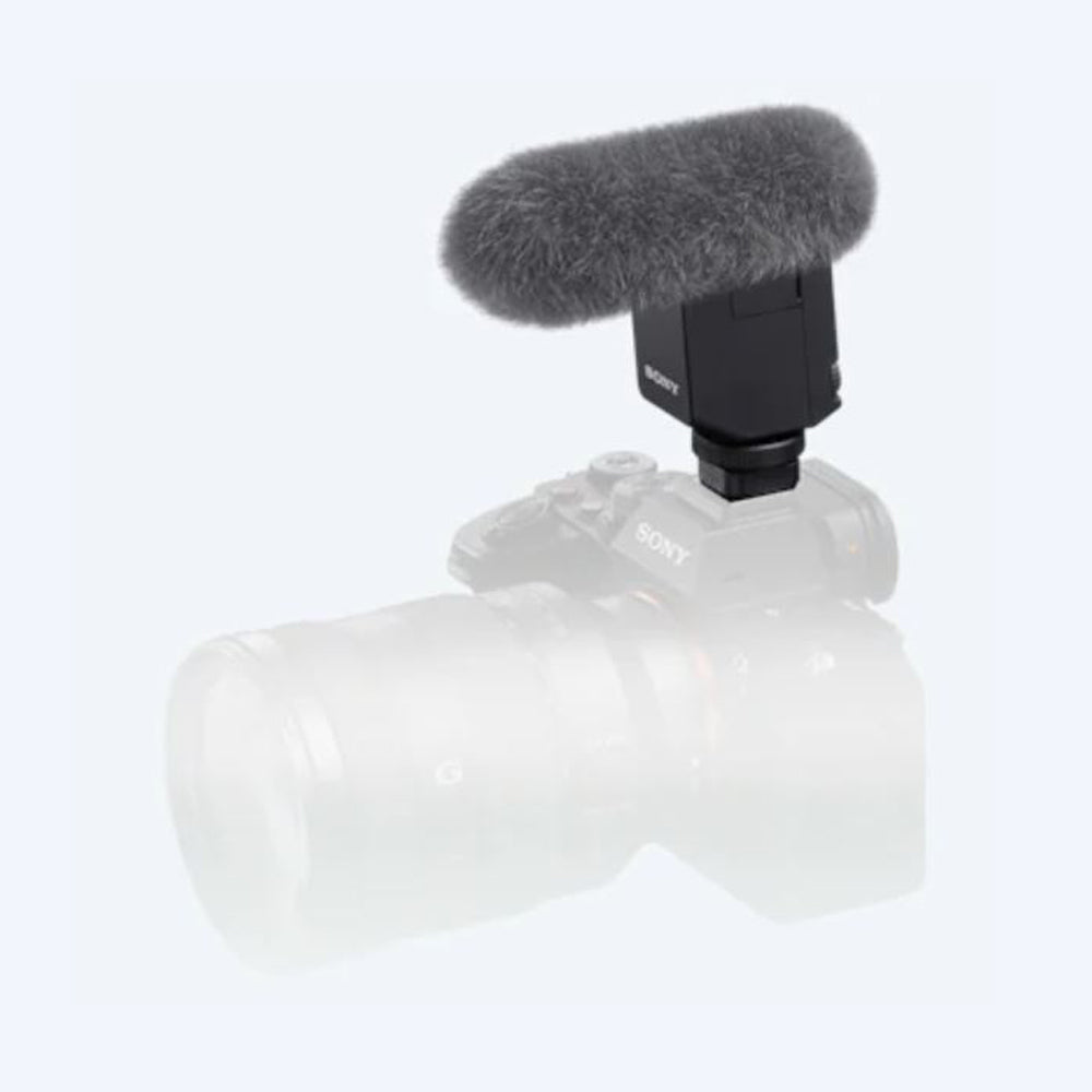 ECM-B10