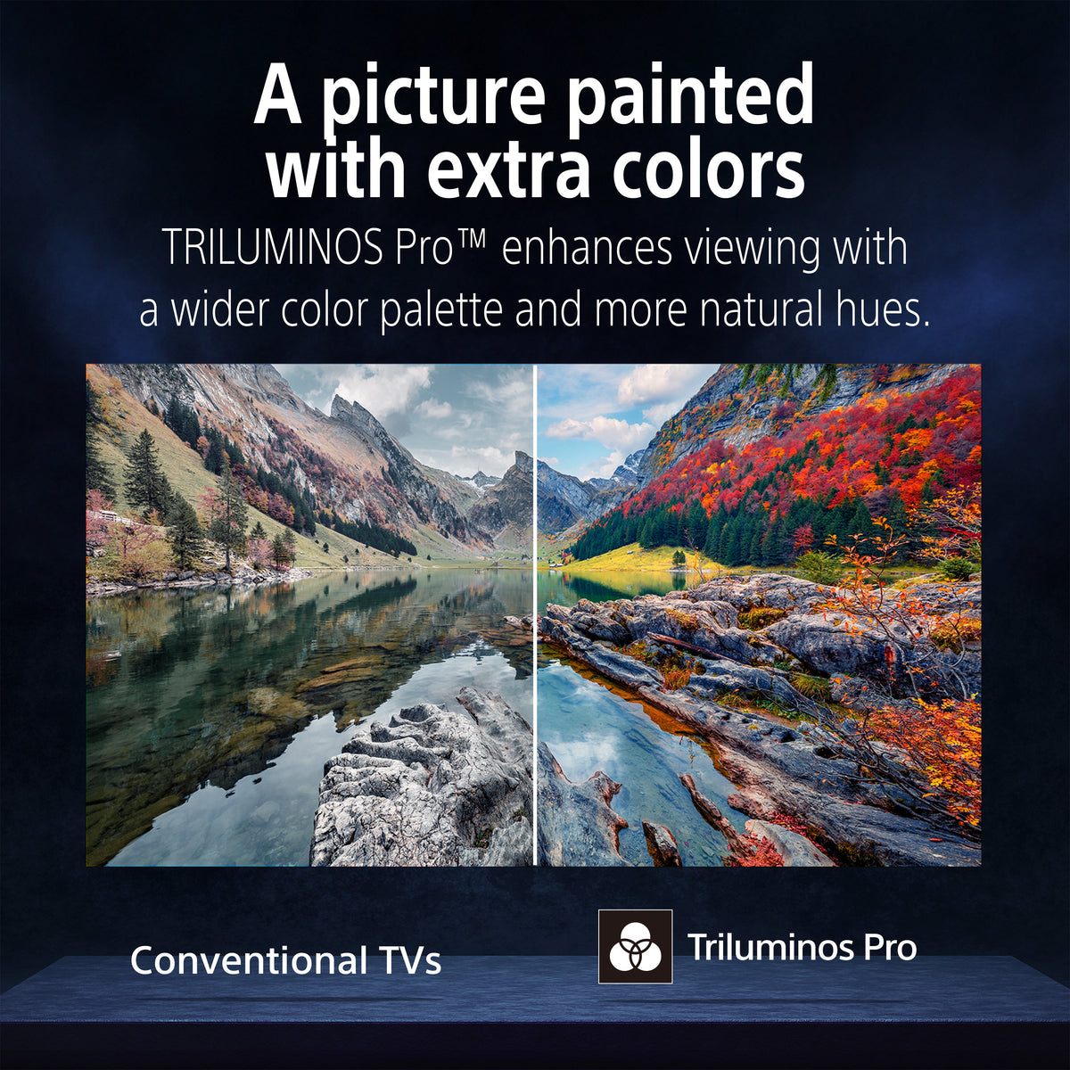 Sony BRAVIA 6 77 inch OLED TV, 2026 Model | K-77A60