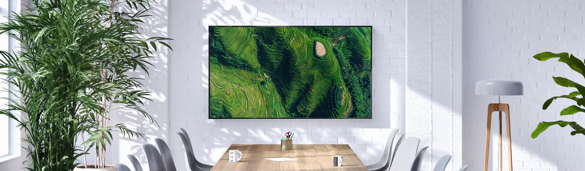 Pro BRAVIA BZ35P