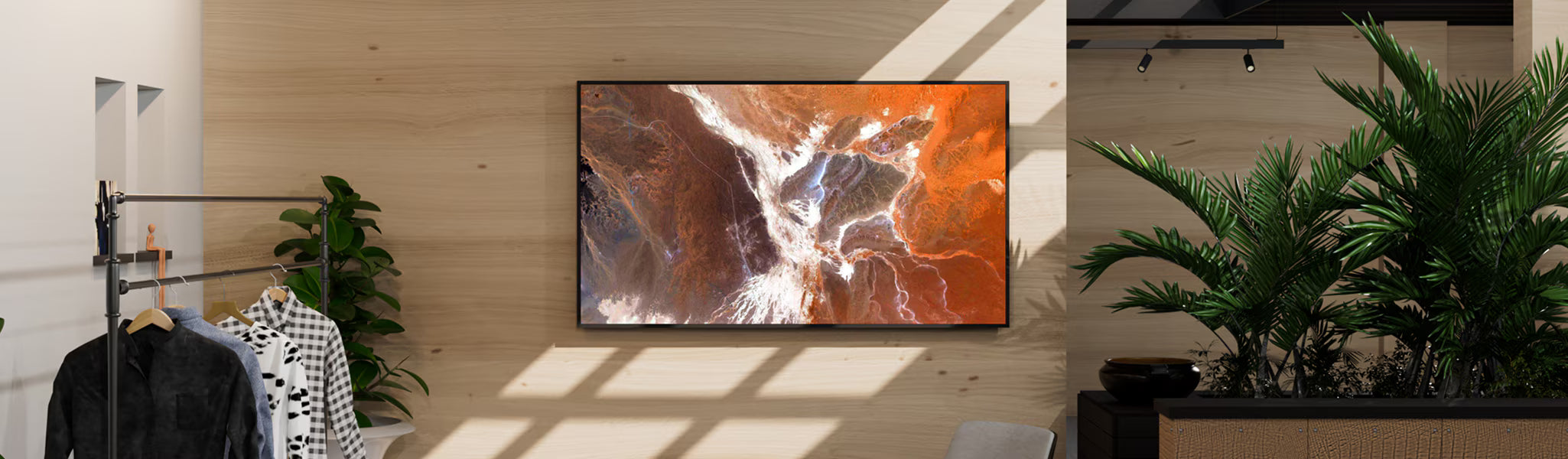 Pro BRAVIA BZ30P